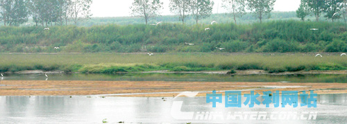 GȪˮԴرo(h)^(q)(ni)wB(nio)02.jpg
